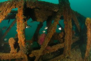 tower crane marbella underwater structure scuba diving costa del sol