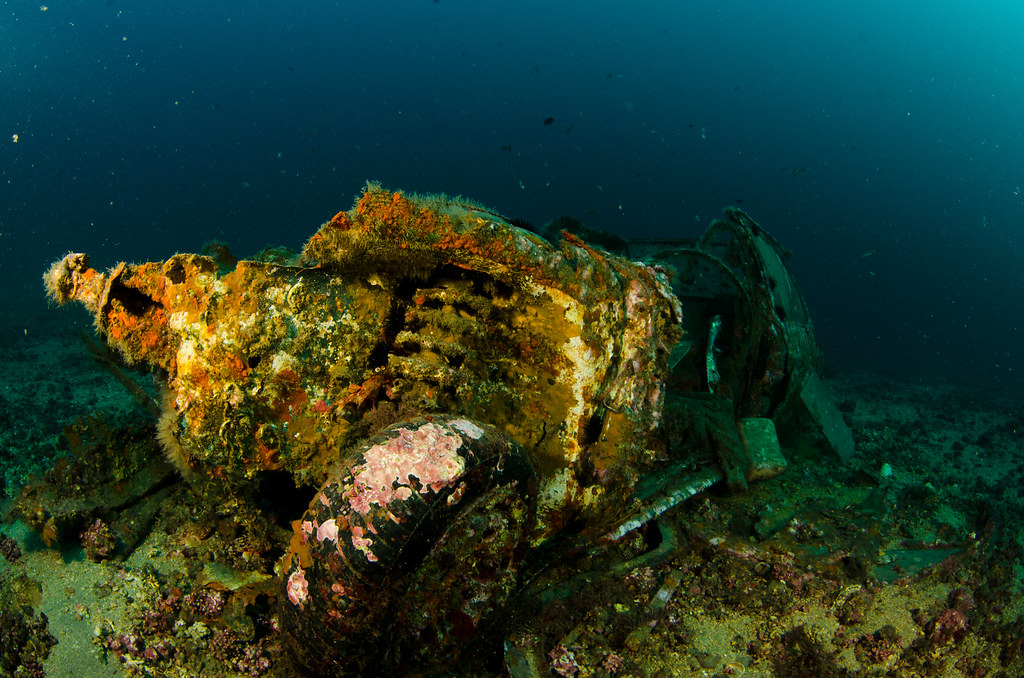 Search and Recovery Diver