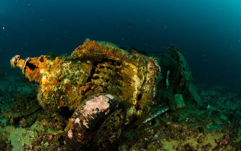 malaga diving gallery 10 scuba diver near coastline