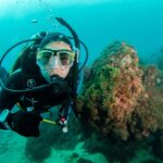 This image shows a diver exploring the underwater environment while learning scuba diving Malaga information. As a result, it highlights the conditions and marine life found on the Costa del Sol. In addition, scuba diving Malaga information helps divers understand what to expect before diving. Therefore, it is useful for both beginners and experienced divers. Furthermore, each dive can offer different conditions and marine life. In other words, diving in Malaga provides a varied and enjoyable experience.