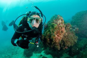 Try Scuba Diving Malaga Beginner Experience This image shows a diver exploring the underwater environment while learning scuba diving Malaga information. As a result, it highlights the conditions and marine life found on the Costa del Sol. In addition, scuba diving Malaga information helps divers understand what to expect before diving. Therefore, it is useful for both beginners and experienced divers. Furthermore, each dive can offer different conditions and marine life. In other words, diving in Malaga provides a varied and enjoyable experience.