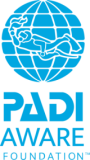 Padi Aware Foundation logo image