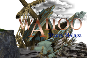 Wahoo Divers Malaga – Shipwreck Diving Experience Illustrated shipwreck scene with wooden debris, ropes, rocks, and ocean elements featuring the Waho Divers Malaga logo