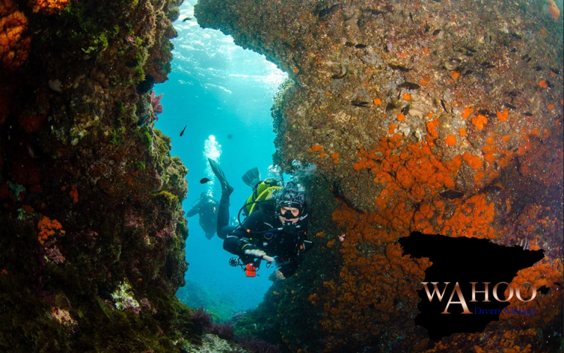 scuba diving Marina del Este Málaga clear water reef diver