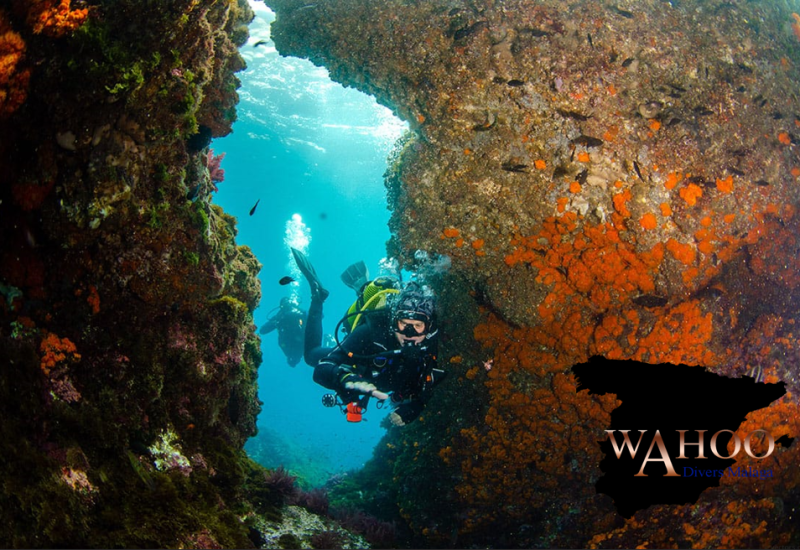scuba diving Marina del Este Málaga clear water reef diver