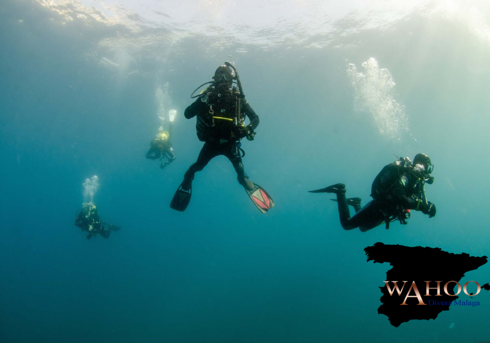 scuba diving malaga information diver underwater costa del sol