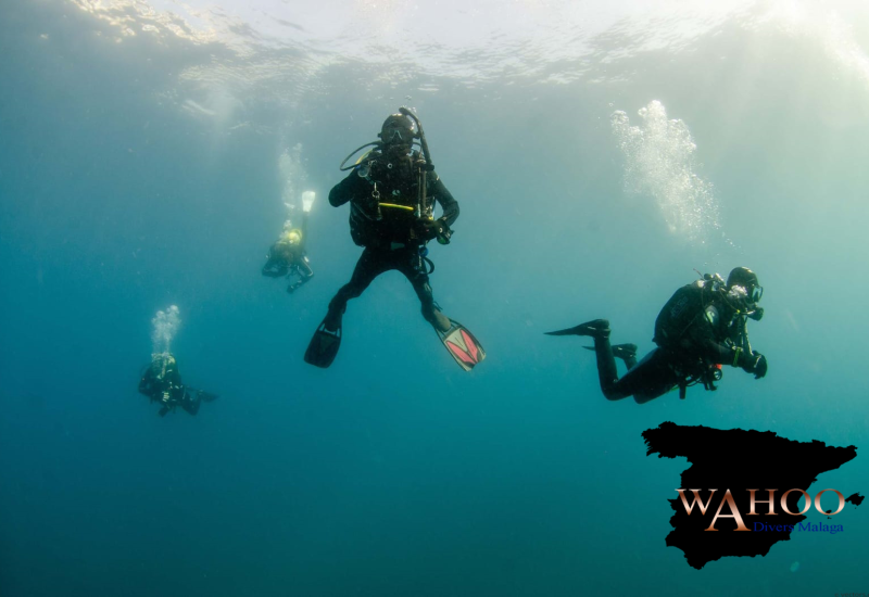 scuba diving malaga information diver underwater costa del sol