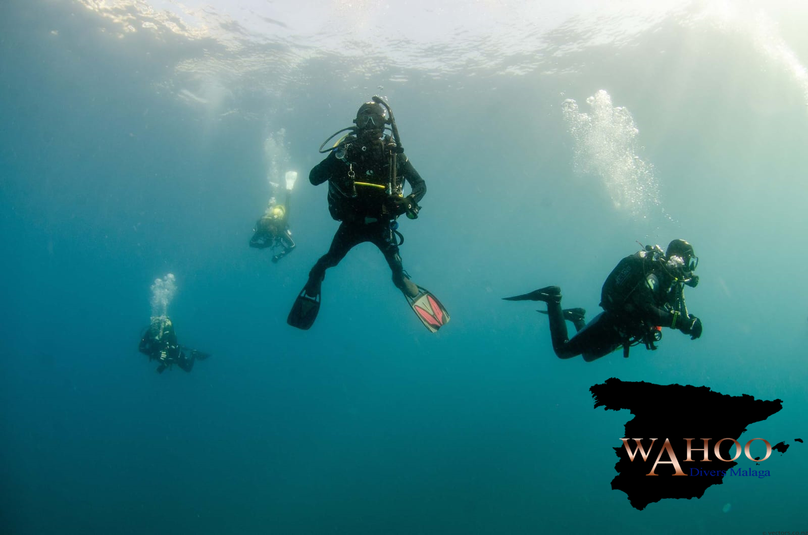 scuba diving malaga information diver underwater costa del sol