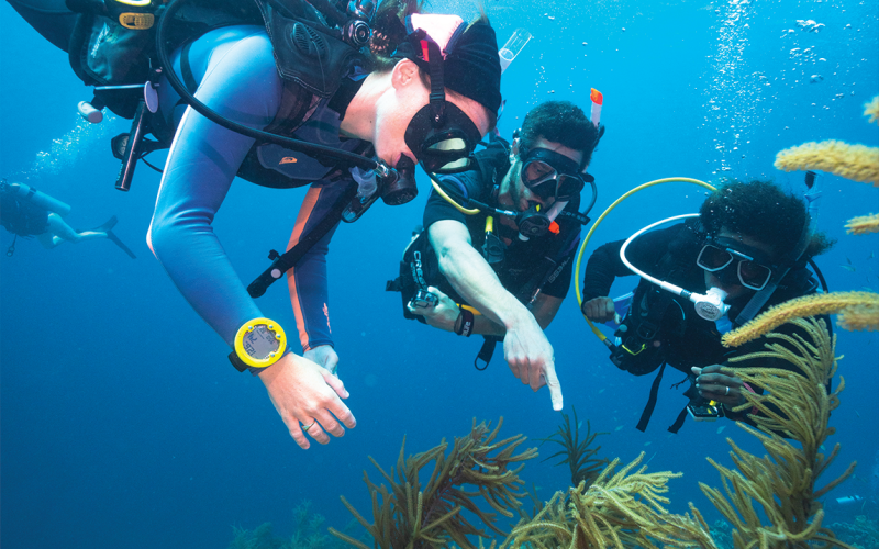 PADI Advanced Open Water Diver course in Malaga