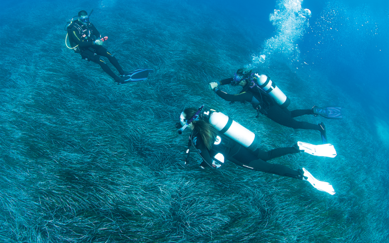 PADI Divemaster course in Malaga