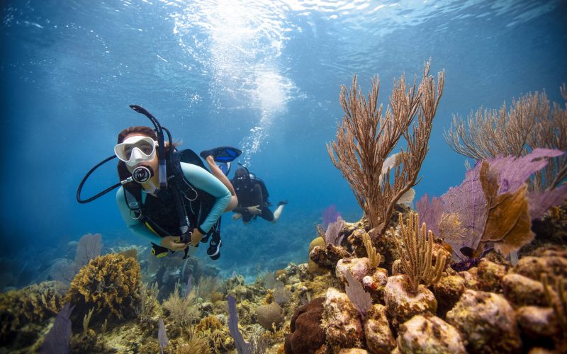 PADI Open Water Diver course in Malaga