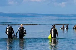 PADI Staff Instructor entering the sea to begin professional training with IDC candidates.