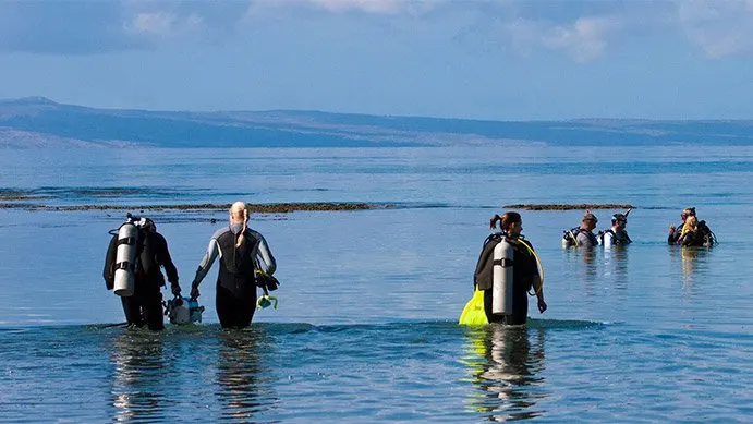 Instructor Development Course